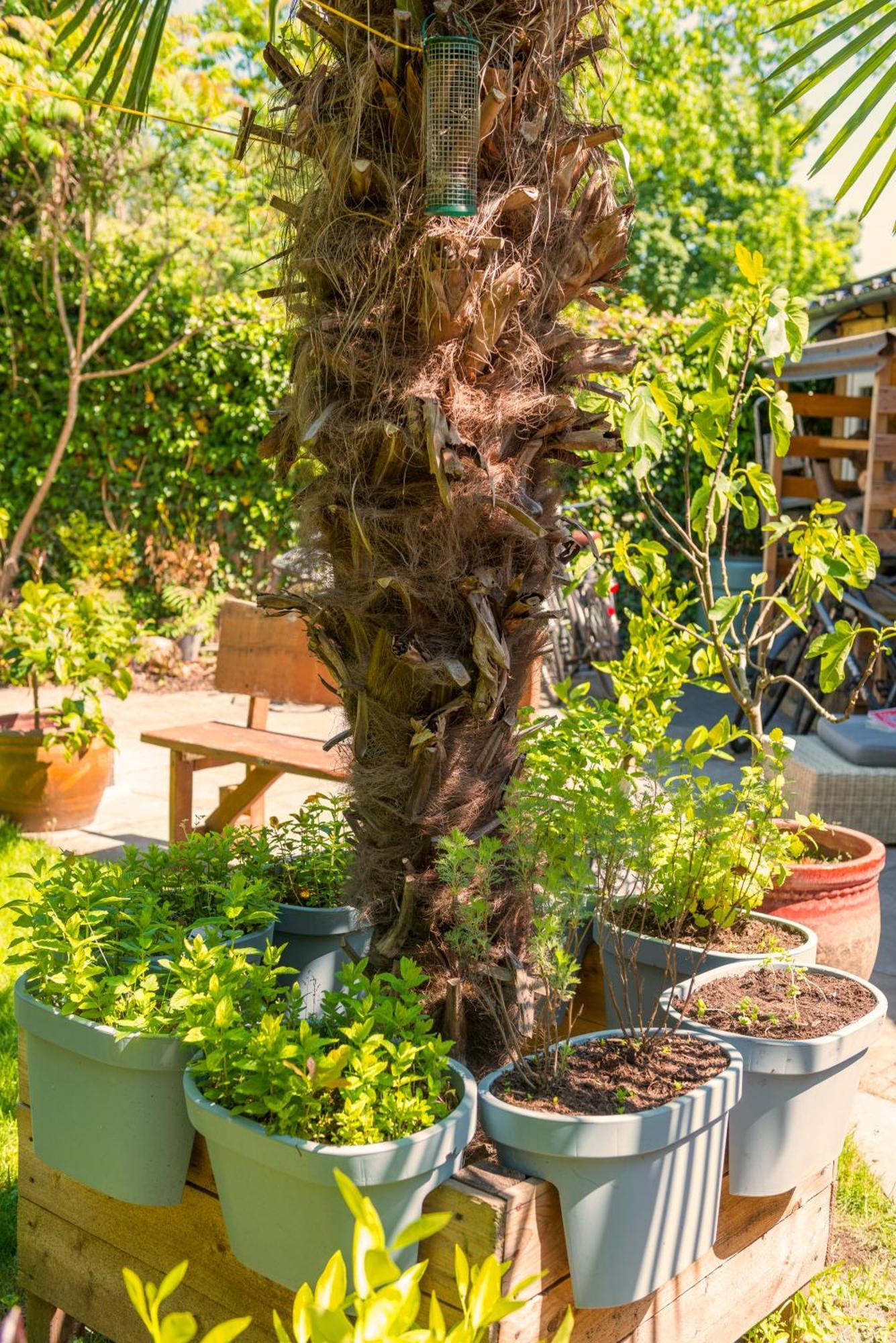 Cozy House - Leenfietsen, Eigen Keuken En Badkamer ネイメーヘン エクステリア 写真